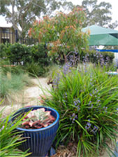 Sutherland Pre-School